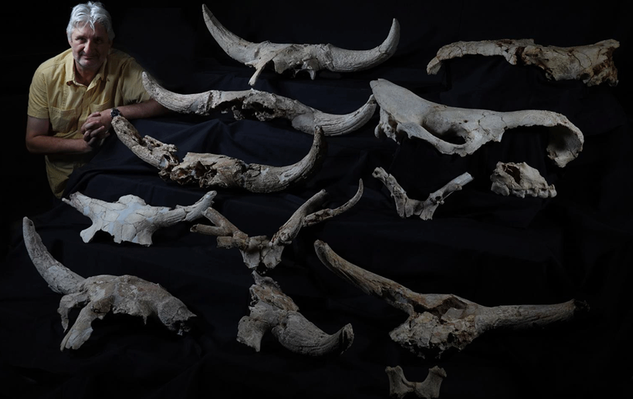 Imagen de algunos de los cráneos encontrados en las excavaciones de Pinilla del Valle