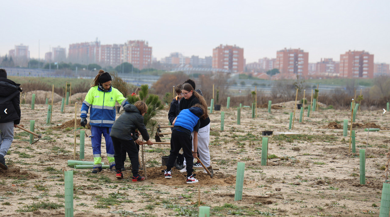 Imagen de la plantación de diferentes árboles en Fuenlabrada a cargo de escolares