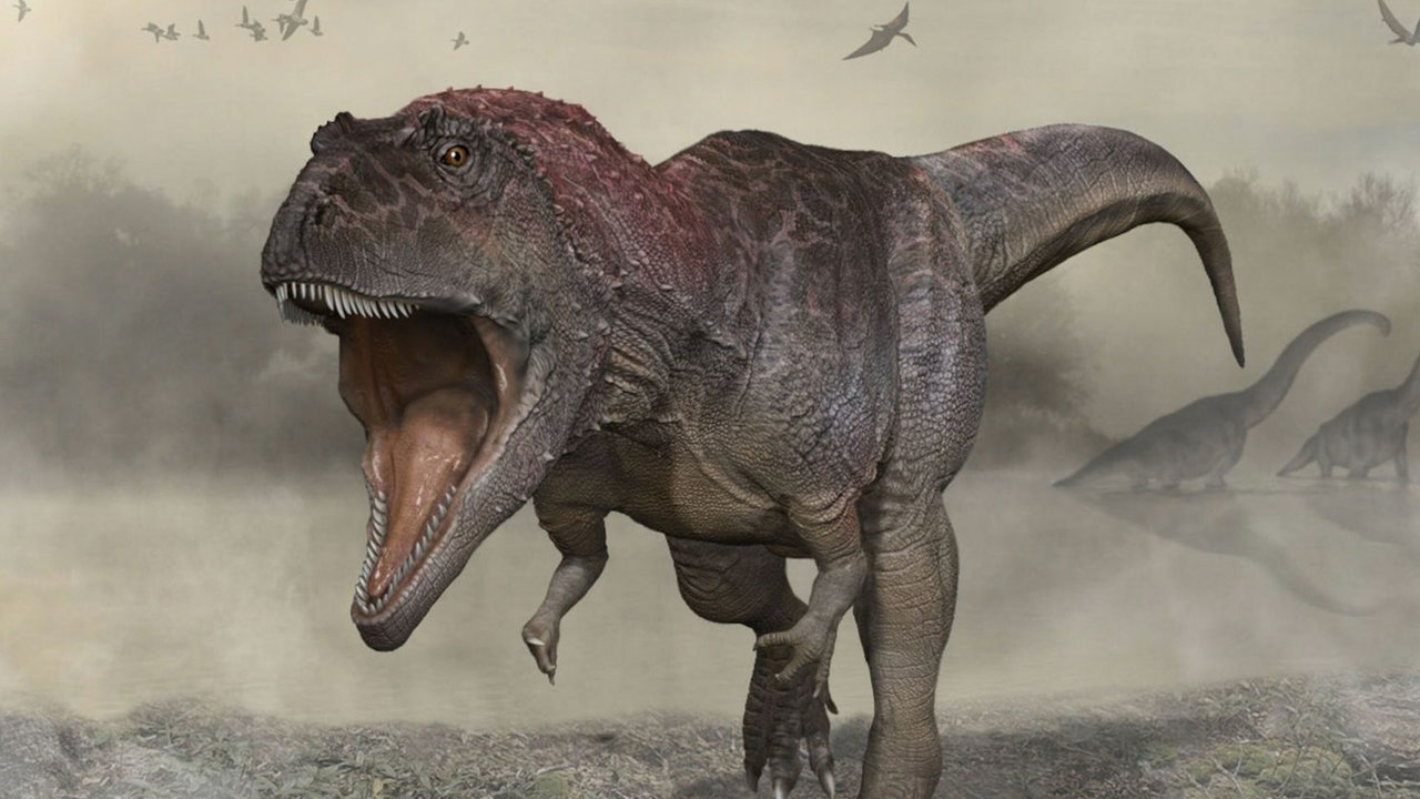 Descubren en Argentina un fósil de una nueva especie de dinosaurio