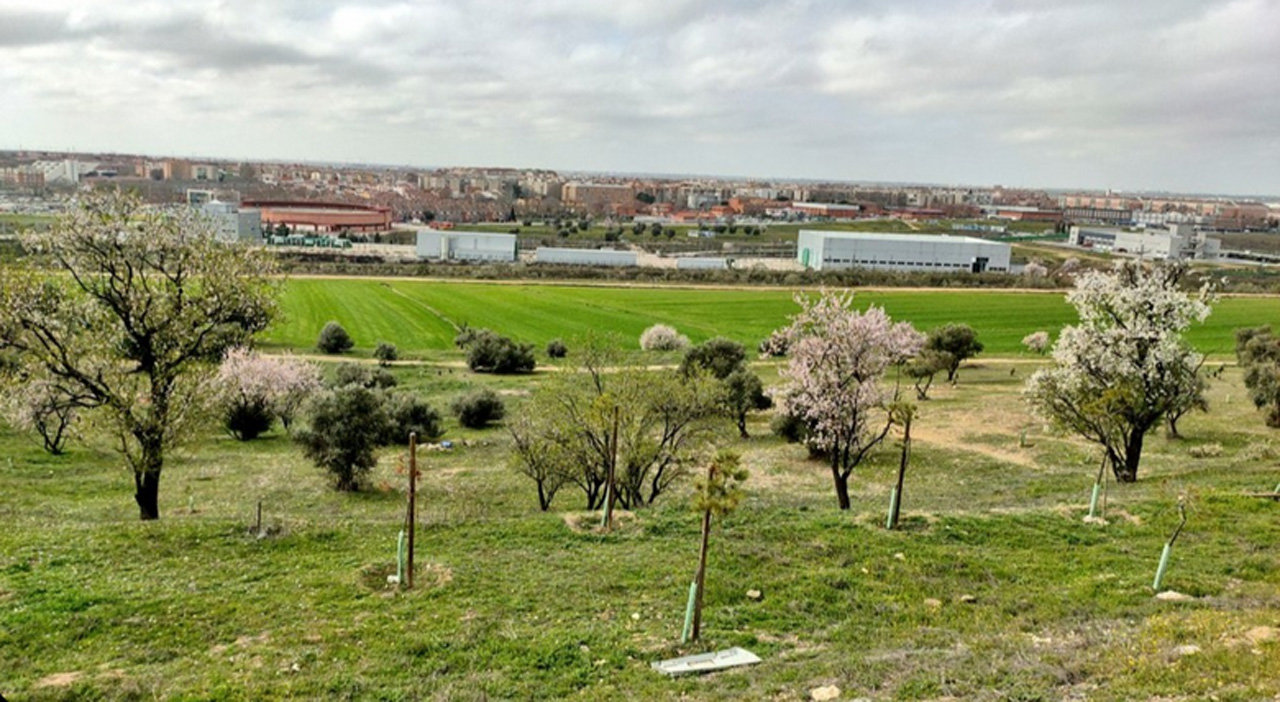 Entorno del Arroyo Humanejos de Parla