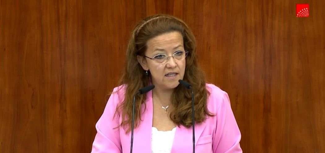 Fátima Matute, Consejera de Sanidad de la CAM, durante una intervención en la asamblea regional