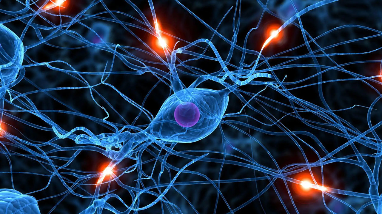 Un tratamiento novedoso podría frenar la degeneración neuronal