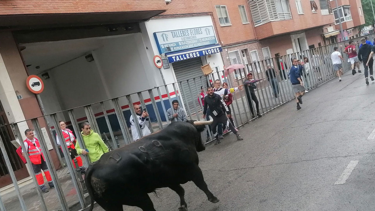 Los encierros y la feria de día eran dos reivindicaciones que hacían los integrantes de las peñas taurinas de Fuenlabrada | Imagen: Al cabo de la calle